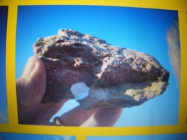 Item image 11