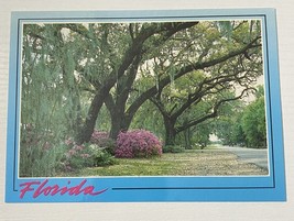 Postcard Beautiful Roadways in Florida FL 1997 - £1.59 GBP