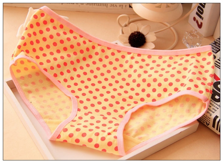 10 pcs.New Women Cotton Panties Kawaii Cartoon Print Cute Briefs for You... - $27.50