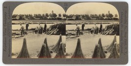 c1900&#39;s Real Photo Stereoview The Flax Industry Belgium.  Farmers on Flax Farm - £14.50 GBP