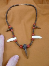 G162-300) 1-1/2&quot; Alligator Tooth 2 Teeth TOE aceh bovine bone + CORAL NECKLACE - $55.15