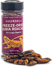 Flukers Freeze-Dried Dubia Roaches: Nutritious Prey for Larger Pets - £12.41 GBP+