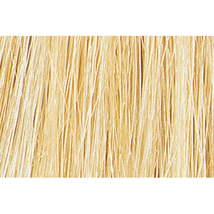 Tressa Colourage Haircolor, 10G Very Light Golden Blonde - $13.80
