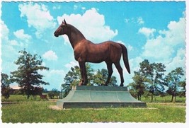 Kentucky Postcard Lexington Race Horse Man O War Monument - £2.21 GBP