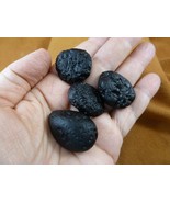 (x-363) set of 4 small Tektites TEKTITE from Impact 700,000 years ago sp... - $16.67 CAD