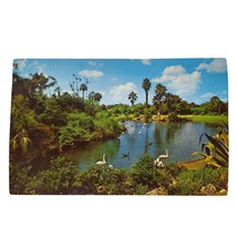 Postcard The Lagoon At Busch Gardens Tampa Florida Chrome Unposted - £5.42 GBP