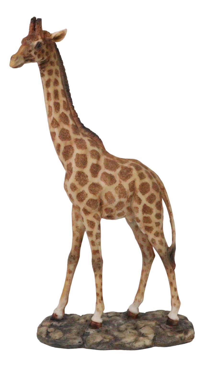 Nature Wildlife Realistic Safari Savannah Masai Giraffe Standing Figurine - $36.99