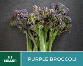 100 Seeds Broccoli Purple Sprouting Seed Brassica oleracea Heirloom Vegetable - £15.77 GBP