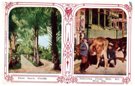 Palm Beach and Key West Florida Postcard - £5.30 GBP