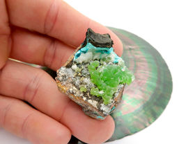Item image 11