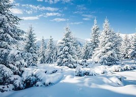 7x5ft Fabric Winter Snow Forest Backdrop White Xmas Trees Wintry Scene Alps Phot - £24.77 GBP