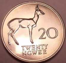 Rare Proof Zambia 1968 20 Ngwee~Bohor Reedbuck~Extreme Low Mintage 4,000~Fr/Ship - £23.45 GBP