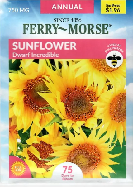 Sunflower Dwarf Incredible Flower Seeds Non-Gmo - Ferry Morse 12/24 Fresh Garden - £6.39 GBP