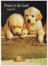 Postcard Religious Two Puppies Watching A Snail Praise Ye The Lord - £2.31 GBP
