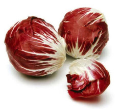 Rafhstore 100 Radicchio Di Treviso Radicchio Rose Vegetable Seeds Us Seeds - £8.57 GBP