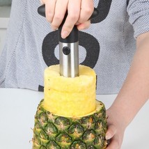 Pineapple Corer Slicer Cutter Easy Kitchen Gadget Stainless Steel Fruit Peeler - £6.36 GBP