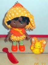 1981 Strawberry Shortcake Orange Blossom with Pet MARMALADE &amp; Comb 100% Complete - £32.87 GBP