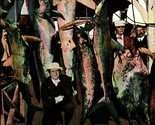 Fishing In Florida Sharks Tuna Hanging Posed UNP DB Postcard 1910s Unused - $10.84