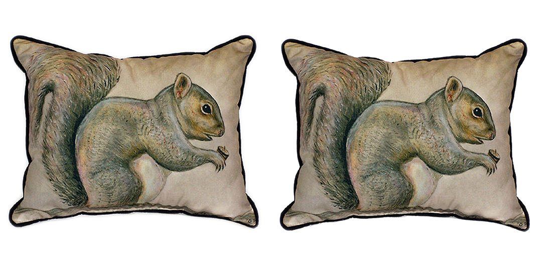 Primary image for Pair of Betsy Drake Squirrel Large Pillows 15 Inch x 22 Inch