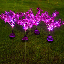 Solar Phalaenopsis Festive Lantern Outdoor - £14.93 GBP