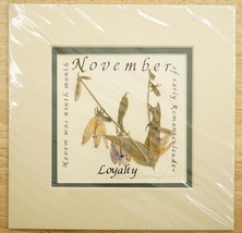 Botanical Art Language of Flowers November Loyalty Dried Press Floral Gratitude - £15.57 GBP