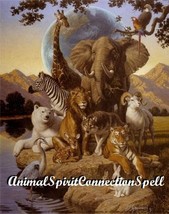 Find Y Our Animal Spirit Spell Free Connection Witch Casting Voodooenergy Powers - $30.00