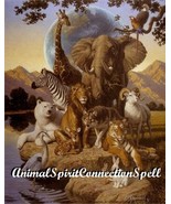 FIND yOUR ANIMAL SPIRIT SPELL FREE CONNECTION WITCH CASTING VOODOOENERGY... - $30.00