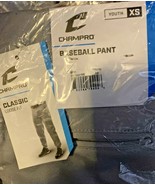 Champro Sports Youth Boy&#39;s Baseball Pants Size XS Gray - $6.65 CAD