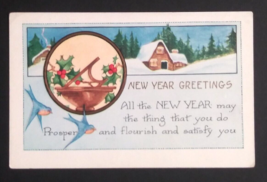 New Year Greetings Snow Scenic View Blue Birds UNP Whitney Made Postcard c1920s - £4.63 GBP