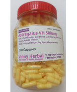 Astragalus DH Herbal Supplement Capsules 600 Caps Jar - £24.17 GBP