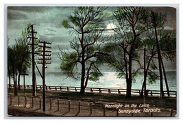 Moonlight on the Lake Sunnyside Toronto Ontario Canada DB Postcard T6 - £3.22 GBP