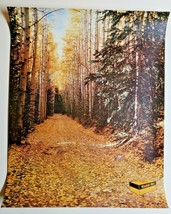 1970&#39;s Rare Kodak Film Transparent Store Display Ad Mylar &quot;Fall Scene&quot; 175 - £102.25 GBP