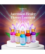 Ascension Healer Flower Essence Set - $120.00