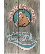 AMERICAN QUARTER HORSES Selected Training &amp; Feeding 32page illust bookle... - $20.73 CAD