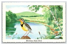 Western Meadowlark Montana State Bird UNP Chrome Postcard XB1 - $3.91