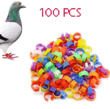 100pcs Bird Rings Leg Bands for Pigeon Parrot Finch Canary Hatch Poultry gitg - £11.98 GBP