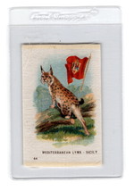 1915 ITC Tobacco Silk - Mediterranean Lynx - Sicily - Animals with Flag - £3.93 GBP