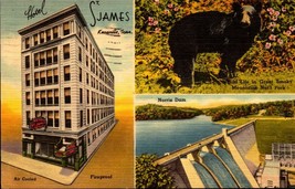 Knoxville Tenn.~Hotel St James~Black Bear~Norris Dam- 1949 Linen Postcard bk42 - £2.33 GBP