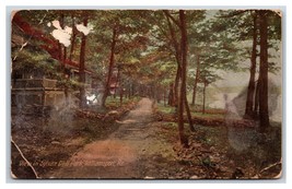 View in Sylvan Dell Park Williamsport Pennsyvania PA UNP DB Postcard S15 - £2.33 GBP