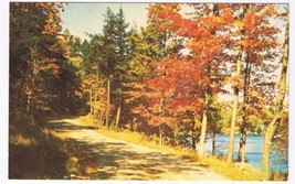 Ontario Postcard Heathcote Autumn Road by Lake - £2.31 GBP