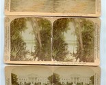 3 Hand Colored Underwood Stereoviews Jungle White House Glorious Work  - £9.34 GBP