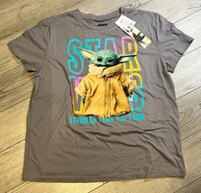 The Mandalorian Grogu Gradient Color Logo T-Shirt Size L Charcoal NWT - £9.41 GBP