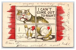 Fumetto I Can&#39;T Viene Fuori Stanotte che Piange Gatto IN Finestra Udb Cartolina - £4.06 GBP