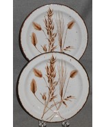 Set (2) Midwinter WILD OATS PATTERN 7&quot; Dessert or B&amp;B Plates MADE IN ENG... - $27.15 CAD