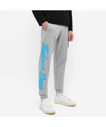 NWT Helmut Lang x Saintwoods Taxi Sweat Pants Gray XS mens S womens  - $217.45 CAD