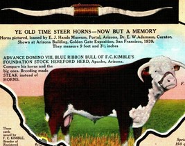 Vtg Linen Postcard Arizona AZ Advance Domino VIII F C KImble Bull Steer Horns  - £3.45 GBP
