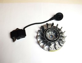 STIHL MS 261 MS 271 MS 291 Coil and Flywheel OEM - $79.95