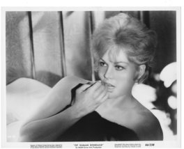 Of Human Bondage Kim Novak 1964 NSS Screen Service Press Photo Movie Sti... - $5.99
