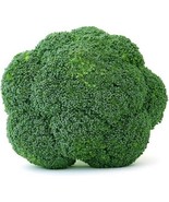 Goliath Heirloom Broccoli Seeds A Vigorous Italian Heirloom Broccoli For... - $4.73