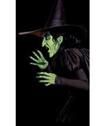 Disney Wizard of Oz Green Wicked Witch of the West Halloween Window Post... - $40.95 CAD
